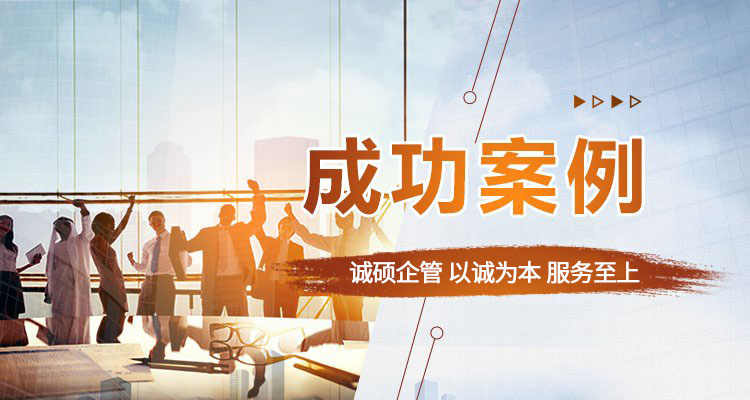 成功案例